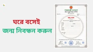 জন্ম নিবন্ধন