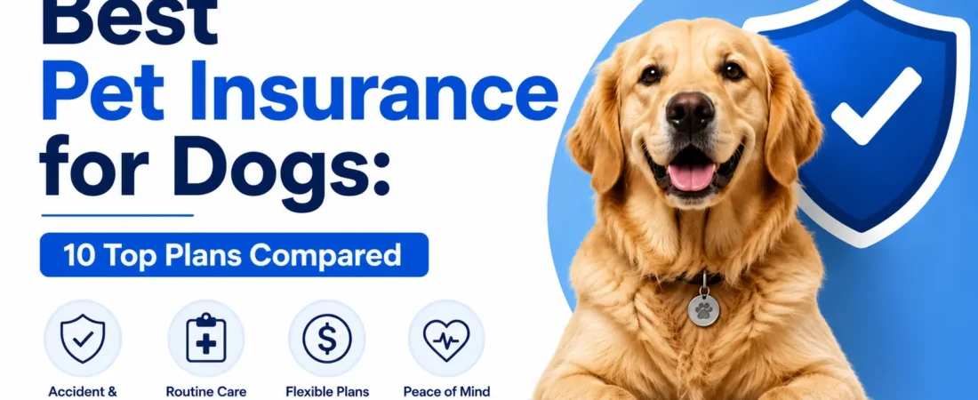 Best Pet Insurance for Dogs: 10 Top Plans Compared